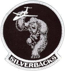 451st Flying Training Squadron T-1 Morale
