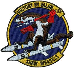 20th Fighter Wing Wild Weasel Morale
