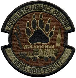 450th Intelligence Squadron Morale
Keywords: OCP