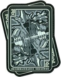 30th Reconnaissance Squadron Morale
Keywords: PVC 