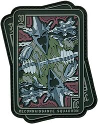 30th Reconnaissance Squadron Morale
Keywords: PVC 