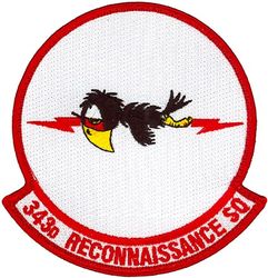 343d Reconnaissance Squadron
