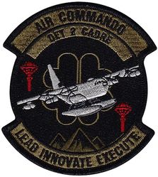 492d Special Operations Training Group Detachment 2 Cadre
Keywords: subdued