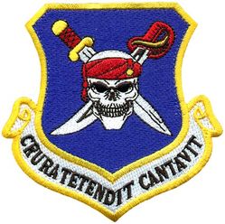 350th Spectrum Warfare Wing Morale
