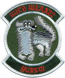 460th Test & Evaluation Squadron Wild Weasel
