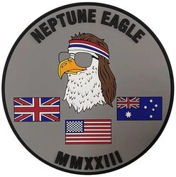 United States Air Forces in Europe-Air Forces Africa A3ZC Special Warfare Branch Exercise NEPTUNE EAGLE
The focal point for Air Force Special Warfare, Contingency Response, and (in conjunction with A3AV) Personnel Recovery. Functional management of Joint Terminal Attack Control (JTAC), Survival Evasion Resistance Escape (SERE), Pararescue, Tactical Air Control Party (TACP), Combat Rescue Officer, and TACP Officer, and manages program elements 27225, 27227, and 27418. A3XS is a collective of disparate surface-centric specialties with a singular focus toward leveraging US, NATO, and Allied Partner Air Power from forward-positioned enabling forces. Fosters interoperable CAF SPECWAR capabilities and advances theater agile basing. Supports Senior Leader Engagements, enables Force Modernization, and Building Partnership Capacity / Theater Security Cooperation efforts.
