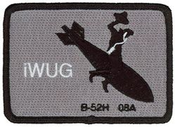 USAF Weapons School B-52 Weapons Instructor Course Class 2008A
340th Weapons Squadron
