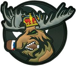 USAF Weapons School C-17 Weapons Instructor Course 2023A Morale
57th Weapons Squadron
