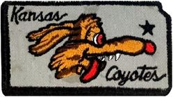 117th Tactical Reconnaissance Squadron Morale
Hat patch.
Keywords: Wile E. Coyote