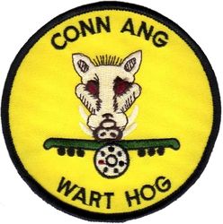 118th Tactical Fighter Squadron A-10
