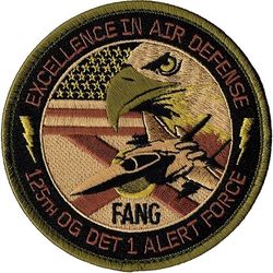 125th Operations Group Detachment 1 Alert Force
Keywords: OCP