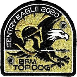 173d Fighter Wing Exercise SENTRY EAGLE 2020
BFM= Basic Fighter Maneuvering. 
