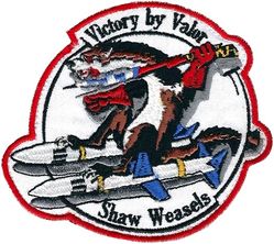 20th Fighter Wing Morale
Afghan made.
