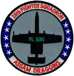 25th Fighter Squadron A-10
