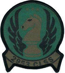 2953d Combat Logistics Support Squadron
Silkscreened patch.
Keywords: subdued