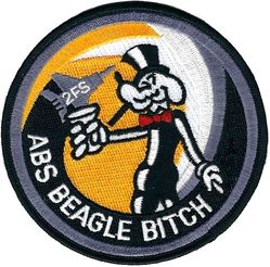 2d Fighter Squadron F-15 Morale
Possibly for pilot wives.
