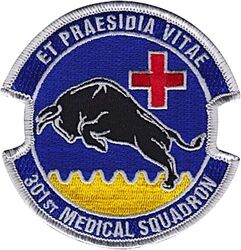 301st Medical Squadron
