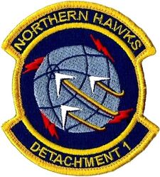 319th Reconnaissance Wing Detachment 1
