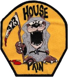 323d Training Squadron Morale
