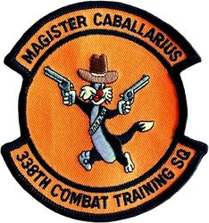 338th Combat Training Squadron Morale
