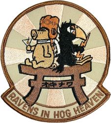 343d Reconnaissance Squadron Morale
Japan made.
Keywords: Desert