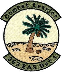 363d Expeditionary Airlift Squadron Detachment 1 
Keywords: desert