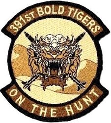 391st Expeditionary Fighter Squadron Operation INHERENT RESOLVE 2025
Keywords: Desert