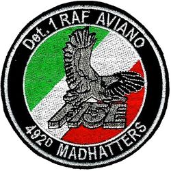 492d Fighter Squadron Detachment 1 F-15E 
TDY to Aviano AB, Italy. Italian made. 
