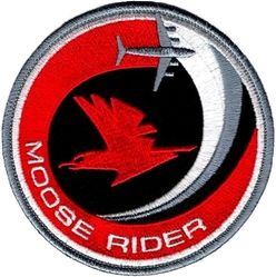 517th Airlift Squadron C-17 Passenger
