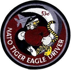 53d Fighter Squadron F-15 Pilot
