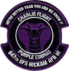 647th Security Forces Squadron C Flight
