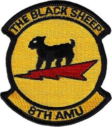 8th Aircraft Maintenance Unit
F-22 era.
