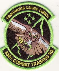330th Combat Training Squadron
