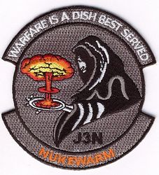 United States Strategic Command J3N
