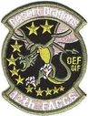 12_EACCS_OEF-OIF.jpg